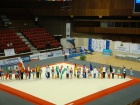 Europameisterschaft 2011